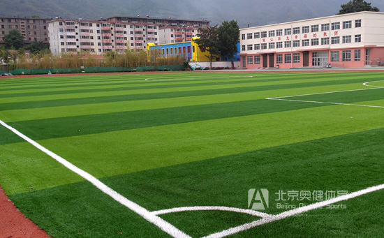 足球場(chǎng)清潔養(yǎng)護(hù)