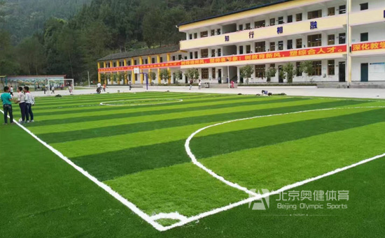 校園足球場(chǎng)草坪地面