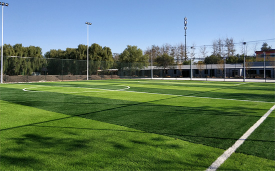 影響足球場人工草皮的價(jià)格的因素還有很多