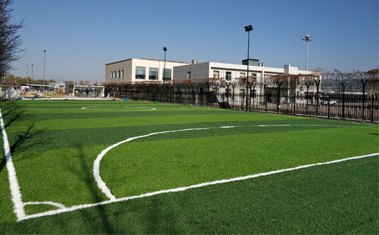 人造草足球場(chǎng)