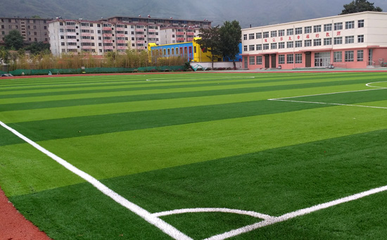 中學(xué)人造草足球場(chǎng)地圖片