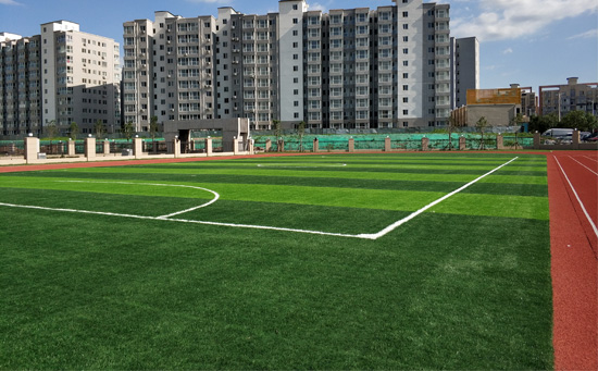 小學(xué)人造草足球場(chǎng)地圖片