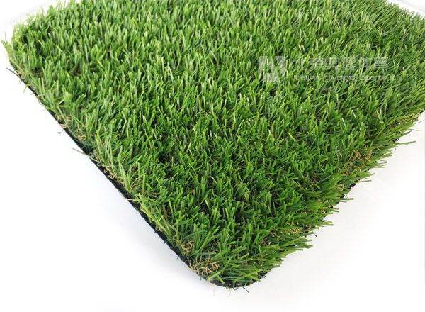 幼兒園草坪U形曲加直