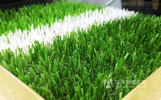 人造草坪和自然草有什么區(qū)別