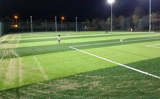 建設(shè)足球場(chǎng)地要多少錢