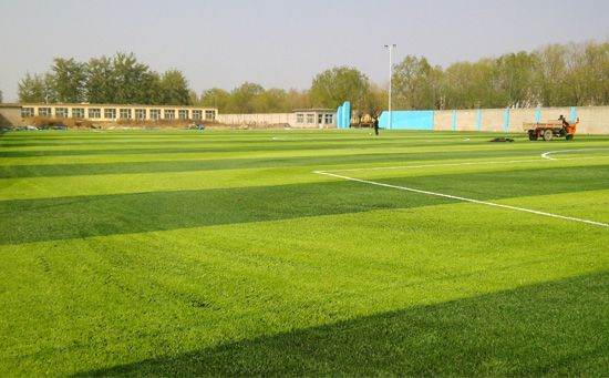 人造草足球場(chǎng)施工現(xiàn)場(chǎng)圖片